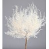 MOUNTAIN FERN LARGE 20" X 14 '  Bleached-